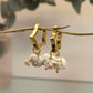 PENDIENTES MARENA